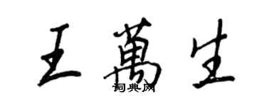王正良王万生行书个性签名怎么写