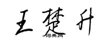 王正良王楚升行书个性签名怎么写