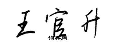 王正良王官升行书个性签名怎么写