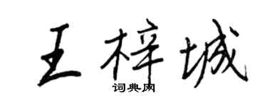 王正良王梓城行书个性签名怎么写