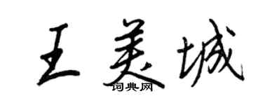 王正良王美城行书个性签名怎么写