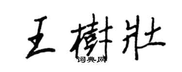 王正良王树壮行书个性签名怎么写