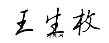 王正良王生枚行书个性签名怎么写
