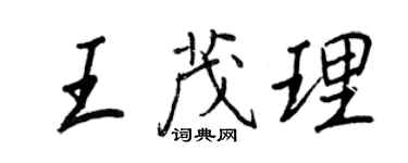 王正良王茂理行书个性签名怎么写