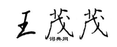 王正良王茂茂行书个性签名怎么写