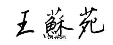 王正良王苏苑行书个性签名怎么写