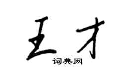 王正良王才行书个性签名怎么写
