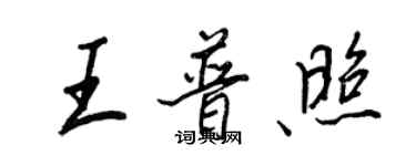 王正良王普照行书个性签名怎么写