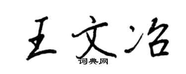 王正良王文冶行书个性签名怎么写