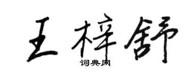 王正良王梓舒行书个性签名怎么写