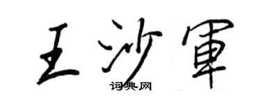 王正良王沙军行书个性签名怎么写