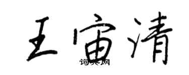 王正良王宙清行书个性签名怎么写