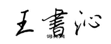 王正良王书沁行书个性签名怎么写