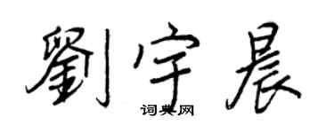 王正良刘宇晨行书个性签名怎么写