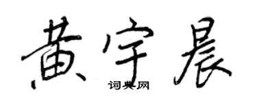 王正良黄宇晨行书个性签名怎么写