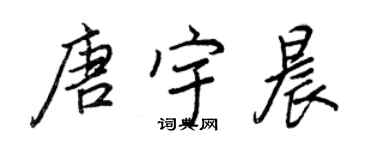 王正良唐宇晨行书个性签名怎么写