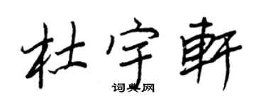 王正良杜宇轩行书个性签名怎么写
