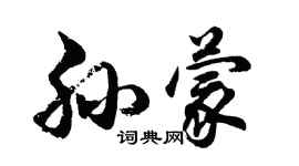 胡问遂孙蒙行书个性签名怎么写