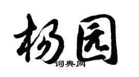 胡问遂杨园行书个性签名怎么写