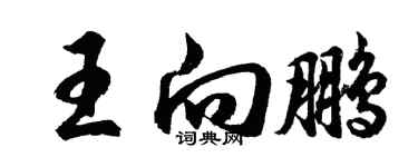 胡问遂王向鹏行书个性签名怎么写