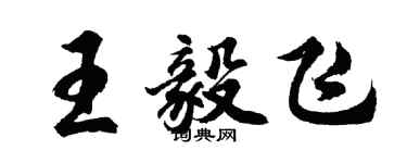 胡问遂王毅飞行书个性签名怎么写