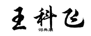 胡问遂王科飞行书个性签名怎么写