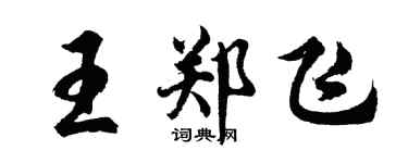 胡问遂王郑飞行书个性签名怎么写