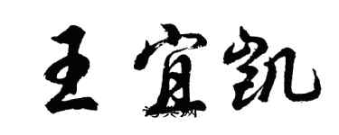 胡问遂王宜凯行书个性签名怎么写