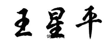 胡问遂王星平行书个性签名怎么写