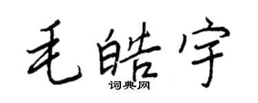 王正良毛皓宇行书个性签名怎么写