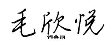 王正良毛欣悦行书个性签名怎么写