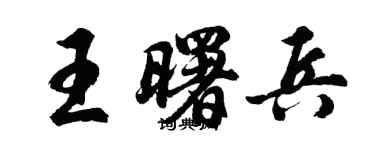 胡问遂王曙兵行书个性签名怎么写