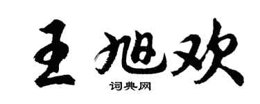 胡问遂王旭欢行书个性签名怎么写
