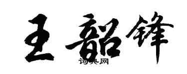 胡问遂王韶锋行书个性签名怎么写