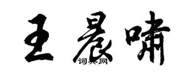 胡问遂王晨啸行书个性签名怎么写