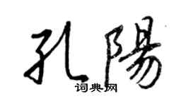 王正良孔阳行书个性签名怎么写
