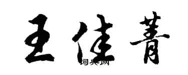 胡问遂王佳菁行书个性签名怎么写