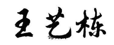 胡问遂王艺栋行书个性签名怎么写