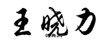 胡问遂王晓力行书个性签名怎么写