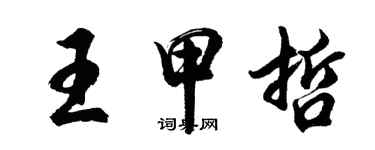 胡问遂王甲哲行书个性签名怎么写