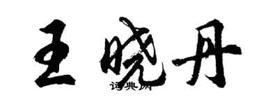 胡问遂王晓丹行书个性签名怎么写