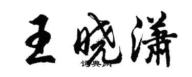 胡问遂王晓潇行书个性签名怎么写