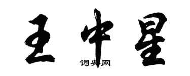 胡问遂王中星行书个性签名怎么写