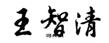 胡问遂王智清行书个性签名怎么写
