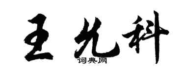 胡问遂王允科行书个性签名怎么写