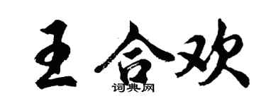 胡问遂王合欢行书个性签名怎么写