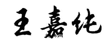 胡问遂王嘉纯行书个性签名怎么写