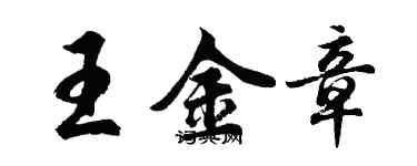 胡问遂王金章行书个性签名怎么写