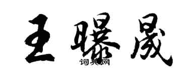 胡问遂王曝晟行书个性签名怎么写
