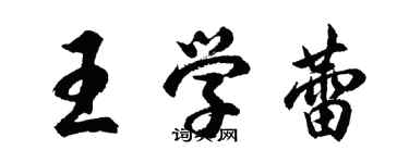 胡问遂王学蕾行书个性签名怎么写